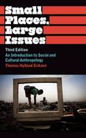 Small places, large issues : an introduction to social and cultural anthropology /