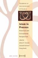 Islam in process : historical and civilizational perspectives (Yearbook of the Sociology of Islam 7) /