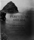 Perpetual mirage : photographic narratives of the desert West /