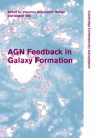 AGN feedback in galaxy formation : proceedings of the workshop held in Vulcano, Italy, May 18--22, 2008 /
