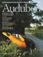 Audubon magazine.