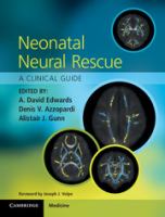 Neonatal neural rescue : a clinical guide /