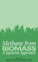 Methane from biomass : a systems approach /