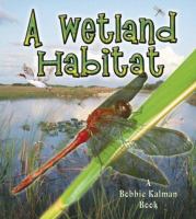 A wetland habitat /