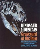 Dinosaur Mountain : graveyard of the past /