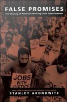 False Promises : The Shaping of American Working Class Consciousness /