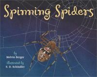 Spinning spiders /