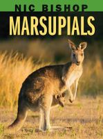 Marsupials /