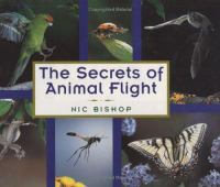 The secrets of animal flight /