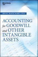 Accounting for goodwill and other intangible assets /