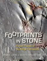 Footprints in stone : fossil traces of coal-age tetrapods /