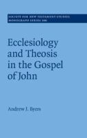 Eccelesiology and theosis in the Gospel of John /