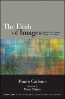 The flesh of images : Merleau-Ponty between painting and cinema /