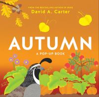 Autumn : a pop-up book /