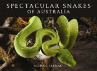 Spectacular snakes of Australia /