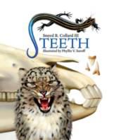 Teeth /