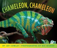Chameleon, chameleon /