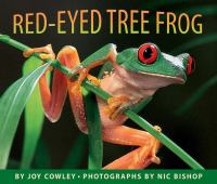 Red-eyed tree frog /