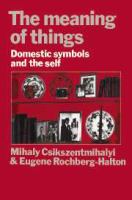 The meaning of things : domestic symbols and the self /