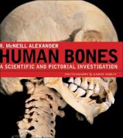 Human bones : a scientific and pictorial investigation /