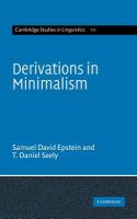 Derivations in minimalism /