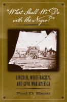 "What shall we do with the Negro?" : Lincoln, white racism, and Civil War America /