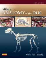 Miller's anatomy of the dog /