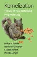 Kernelization : theory of parameterized preprocessing /