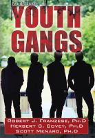 Youth gangs /