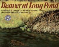 Beaver at Long Pond /