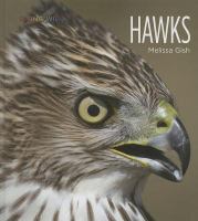 Hawks /