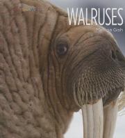 Walruses /
