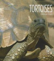 Tortoises /