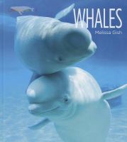 Whales /