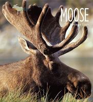 Moose /