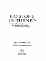 No stone unturned : a father's memoir of his son's encounter with traumatic brain injury /
