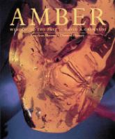 Amber : window to the past /