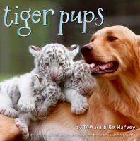 Tiger pups /