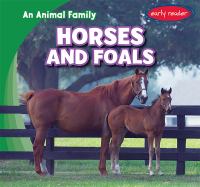 Horses and foals /