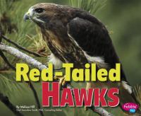 Red-tailed hawks /