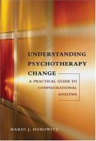 Understanding psychotherapy change : a practical guide to configurational analysis /