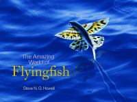 The Amazing World of Flyingfish.