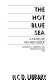 The hot blue sea; a novel.