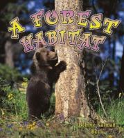 A forest habitat /