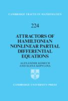 Attractors of Hamiltonian nonlinear partial differential equations /