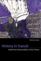 History in transit : experience, identity, critical theory /
