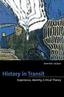 History in transit : experience, identity, critical theory /