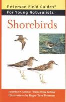 Shorebirds /