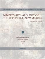 Mimbres Archaeology of the Upper Gila, New Mexico