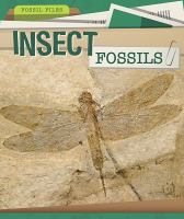 Insect fossils /